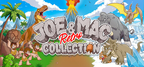 Joe & Mac Retro Collection official game artwork