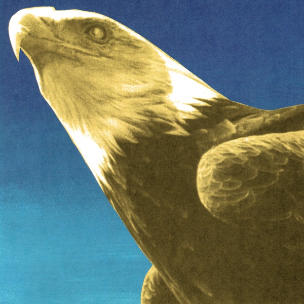 Protomartyr — Hotel Usona album cover