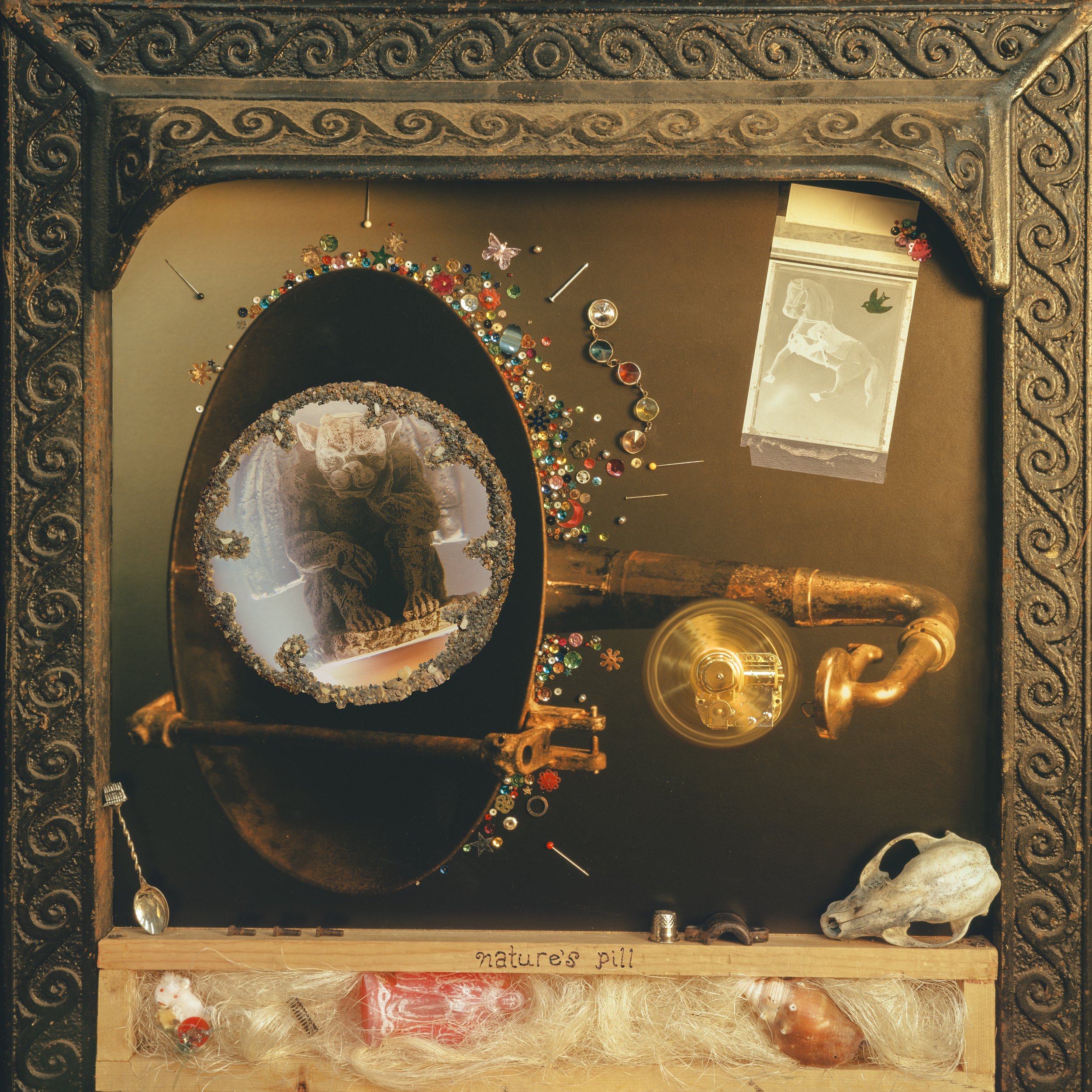 Wishy Nature's Pill official album cover